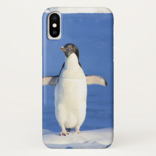 Funny penguin on ice photo iPhone x case