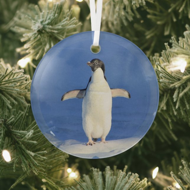 Funny penguin on ice photo glass tree decoration (Insitu)