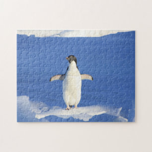 Funny penguin on ice photo jigsaw puzzle
