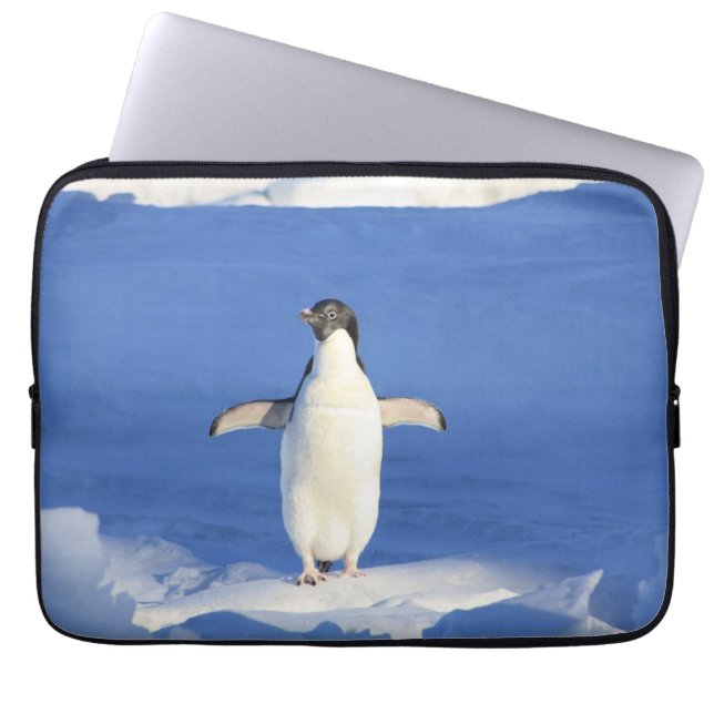 Funny penguin on ice photo laptop sleeve (Front)