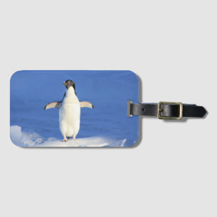 Funny penguin on ice photo luggage tag