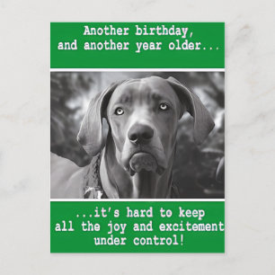 Funny Personalised Dog Photo Birthday    Postcard