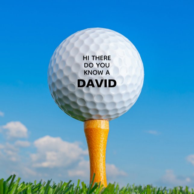 Funny Personalised Name Lost  Golf Balls (Creator Uploaded)
