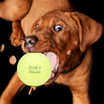 Funny Personalised Tennis Balls<br><div class="desc">Never lose your tennis balls again with these green personalised yellow tennis balls.  Great gift idea for him.</div>