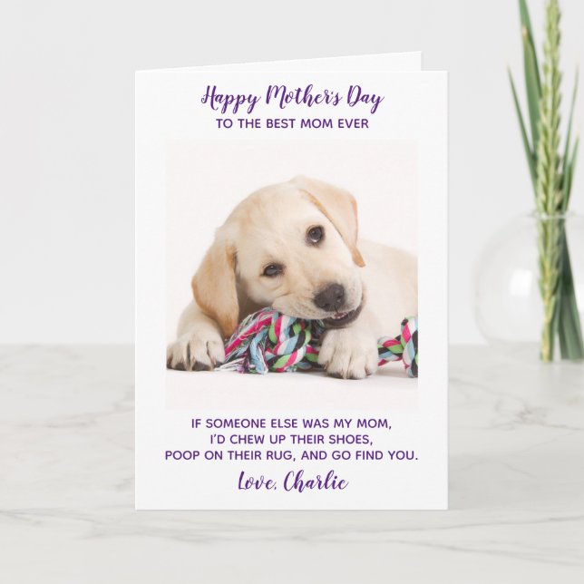 Funny Personalized Pet Photo Mothers Day Dog Mom Holiday Card (Front)