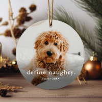 Funny Pet 2 Photo Christmas
