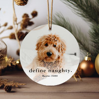 Funny Pet 2 Photo Christmas