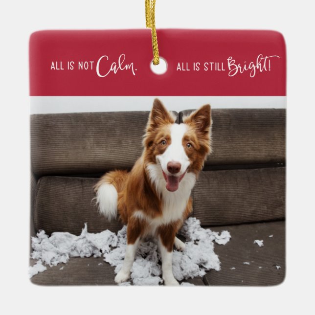 Funny Pet All is Not Calm 3 Photo  Ceramic Ornament (Front)