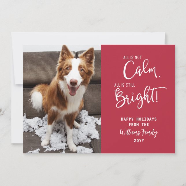 Funny Pet All is Not Calm 3 Photo Holiday Card (Front)