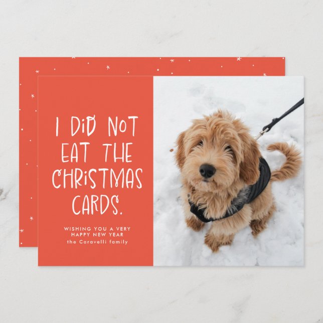 Funny pet coral peach New Year photo Holiday Card (Front/Back)