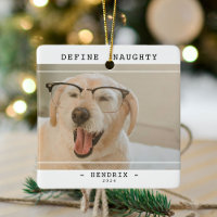 Funny Pet 'Define Naughty' Photo Christmas