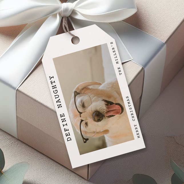 Funny Pet 'Define Naughty' Photo Christmas Gift Tags (Creator Uploaded)