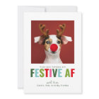 Funny Pet Dog Cat Photo Christmas Card Festive AF