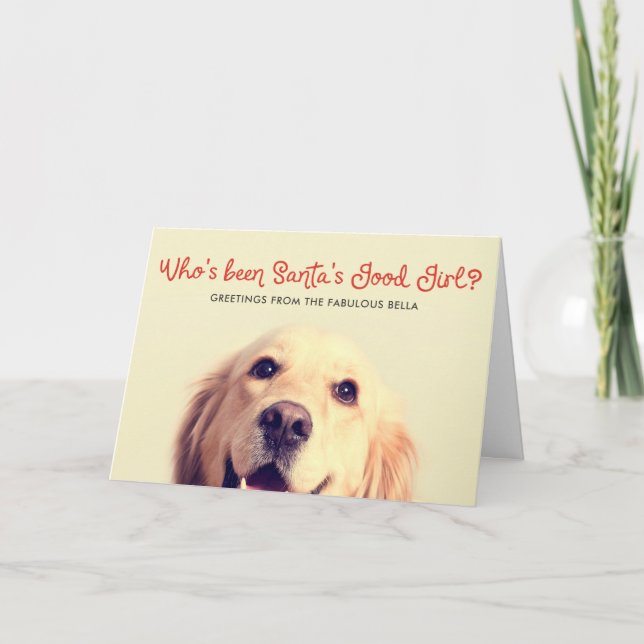 Funny Pet Dog Holiday | Photo Greeting Card (Front)