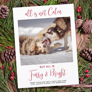 Funny Pet Furry & Bright Custom Dog Photo  Holiday Postcard