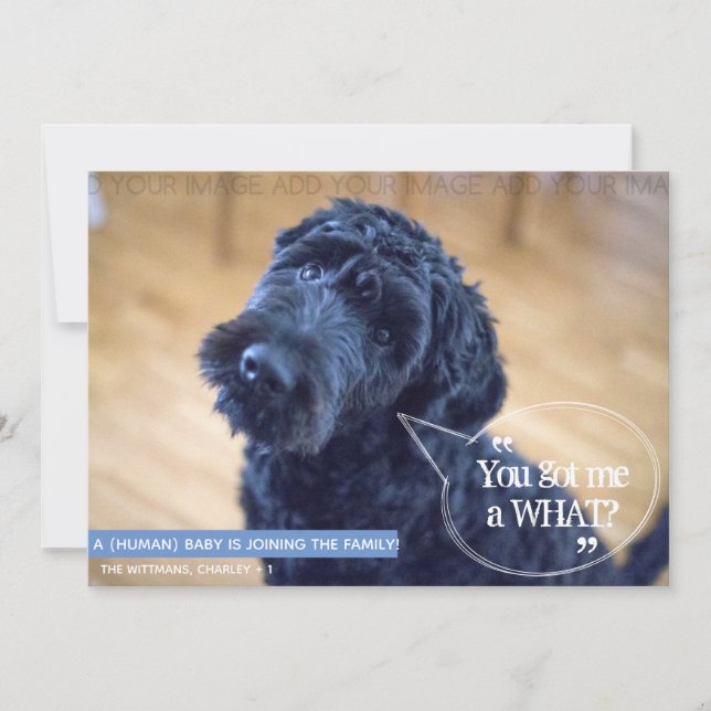 Funny Pet (Human Baby) Pregnancy Announcement (Front)