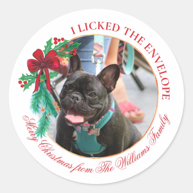Funny Pet “I Licked the Envelope” Christmas Classic Round Sticker (Front)