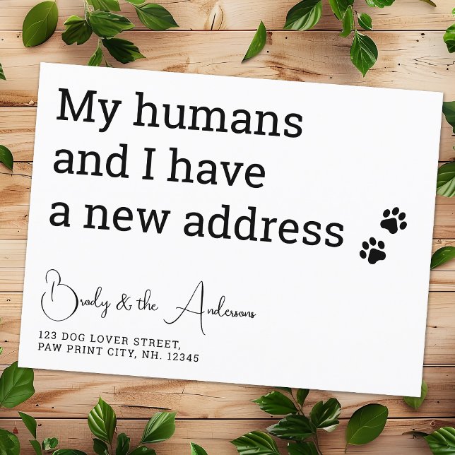Funny Pet New Address We Have Moved Cat Dog Moving Postcard (Creator Uploaded)