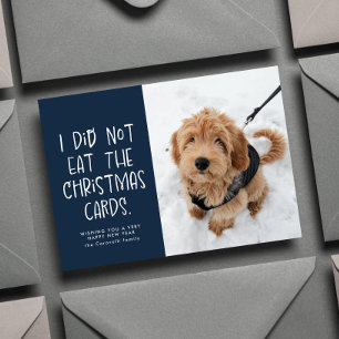 Funny pet one photo navy New Year Holiday Card