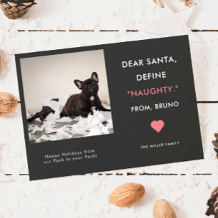 Funny Pet Photo Christmas   Define Naughty Holiday Card