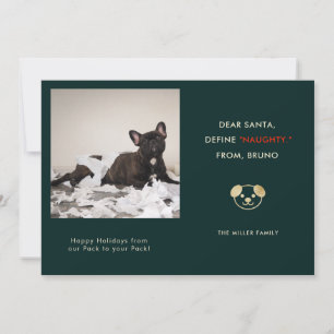 Funny Pet Photo Christmas Holiday Card