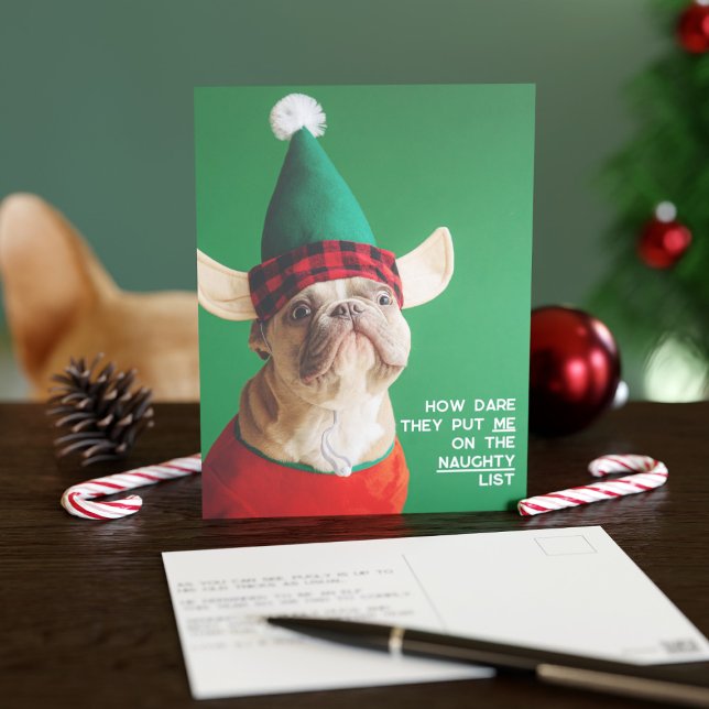 Funny Pet Photo Christmas Holiday Postcard (Your pup would never be on the naughty list I'm sure)