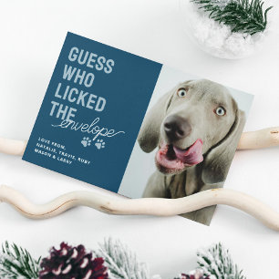 Funny Pet Photo Licked Envelopes Christmas Card