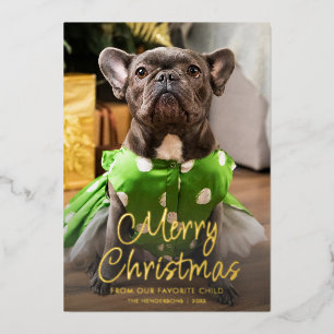 Funny Pet Photo Merry Christmas Family Foil Holiday Card