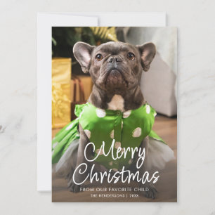 Funny Pet Photo Merry Christmas Family Holiday Card