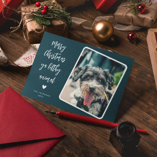 Funny Pet Photo Merry Christmas Holiday Card