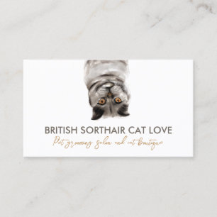 Funny Pet Sitter Grey British Shorthair Cat Business Card
