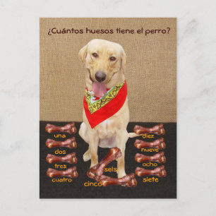 Funny Pet Spanish Postcard & Teaching Aid