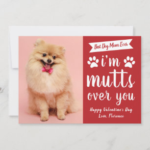 Funny Pets Dog Lover Happy Valentine's Day Holiday Card