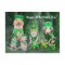 Funny Pets & Leprechauns