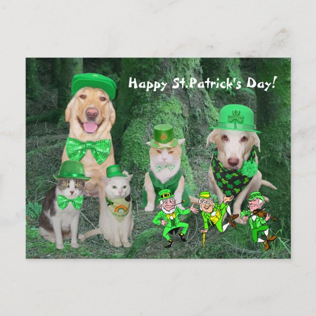 Funny Pets & Leprechauns Postcard (Front)