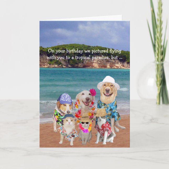 Funny Pets Tropical Paradise Birthday Card (Front)