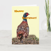 Funny Pheasant birthday card