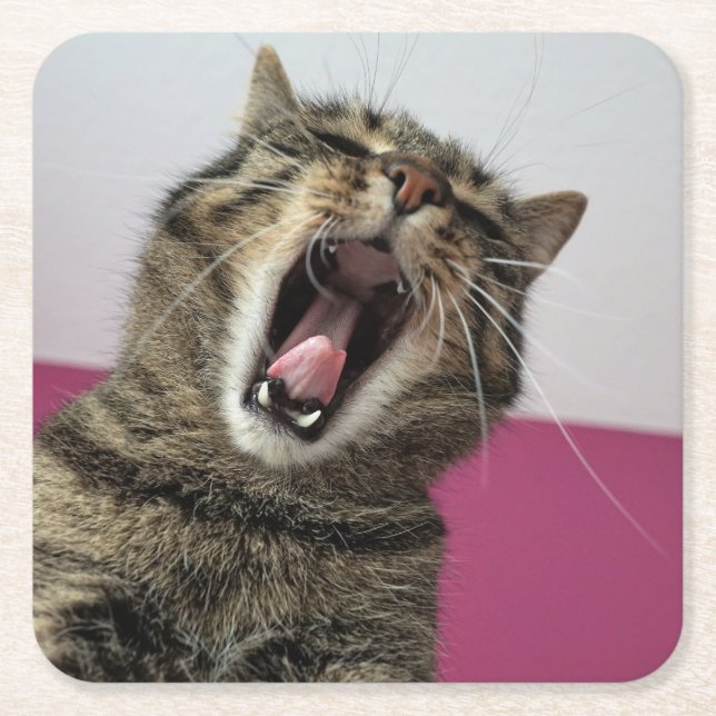 Funny Photo Cat Lover  Square Paper Coaster (Front)