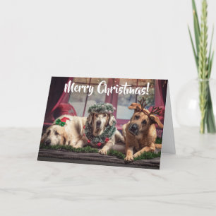 Funny Photo Dogs in Christmas Antlers and Headwear Holiday Card