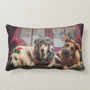 Funny Photo Dogs in Christmas Antlers and Headwear Lumbar Cushion