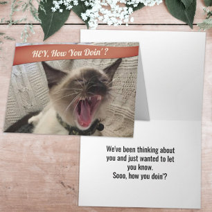 Funny Photo Yelling Siamese Cat How You Doin'  Car Card