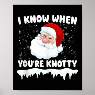 Funny Physical Therapist Christmas Pt Therapist Xm Poster