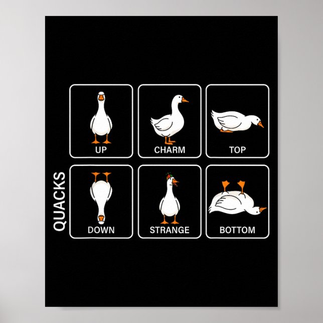 Funny physics pun duck quacks meme cute goose poster (Front)