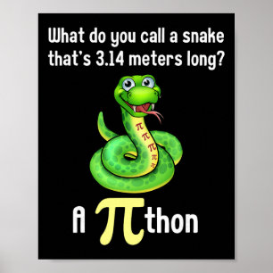 Funny Pi Day Puns Pithon Math Teacher Jokes Women Poster