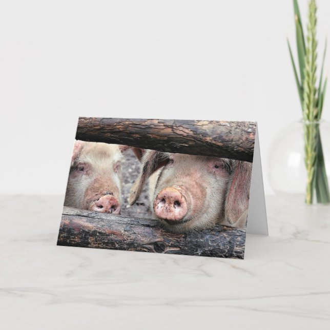 Funny Pig Custom Birthday Card (Front)