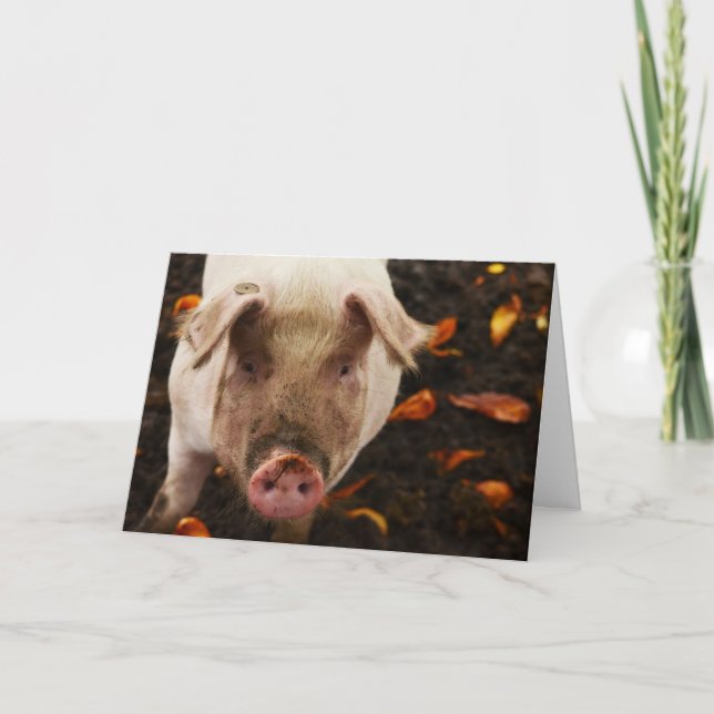 Funny Pig Custom Birthday Card (Front)