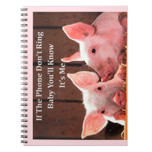 Funny Pig Memes with funny pig sayings and quotes Notebook