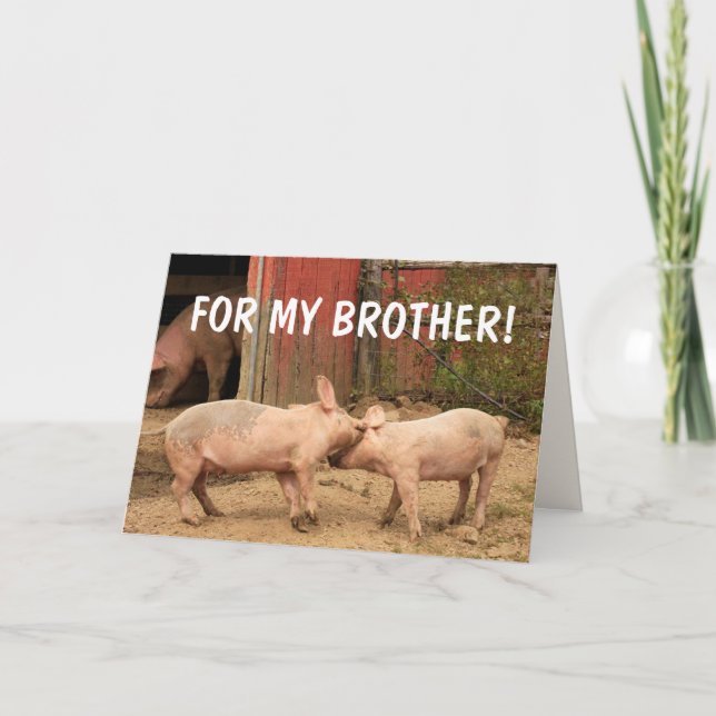 Funny Pigs FOR MY BROTHER Birthday Card (Front)