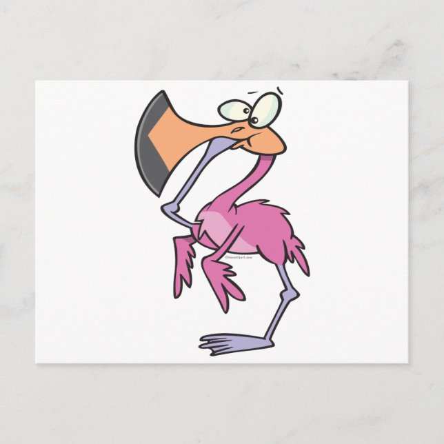 funny pink flamingo with foot in mouth postcard (Front)