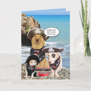 Funny Pirate Pets Birthday Card